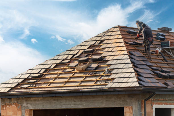 Best Green or Eco-Friendly Roofing Solutions  in USA